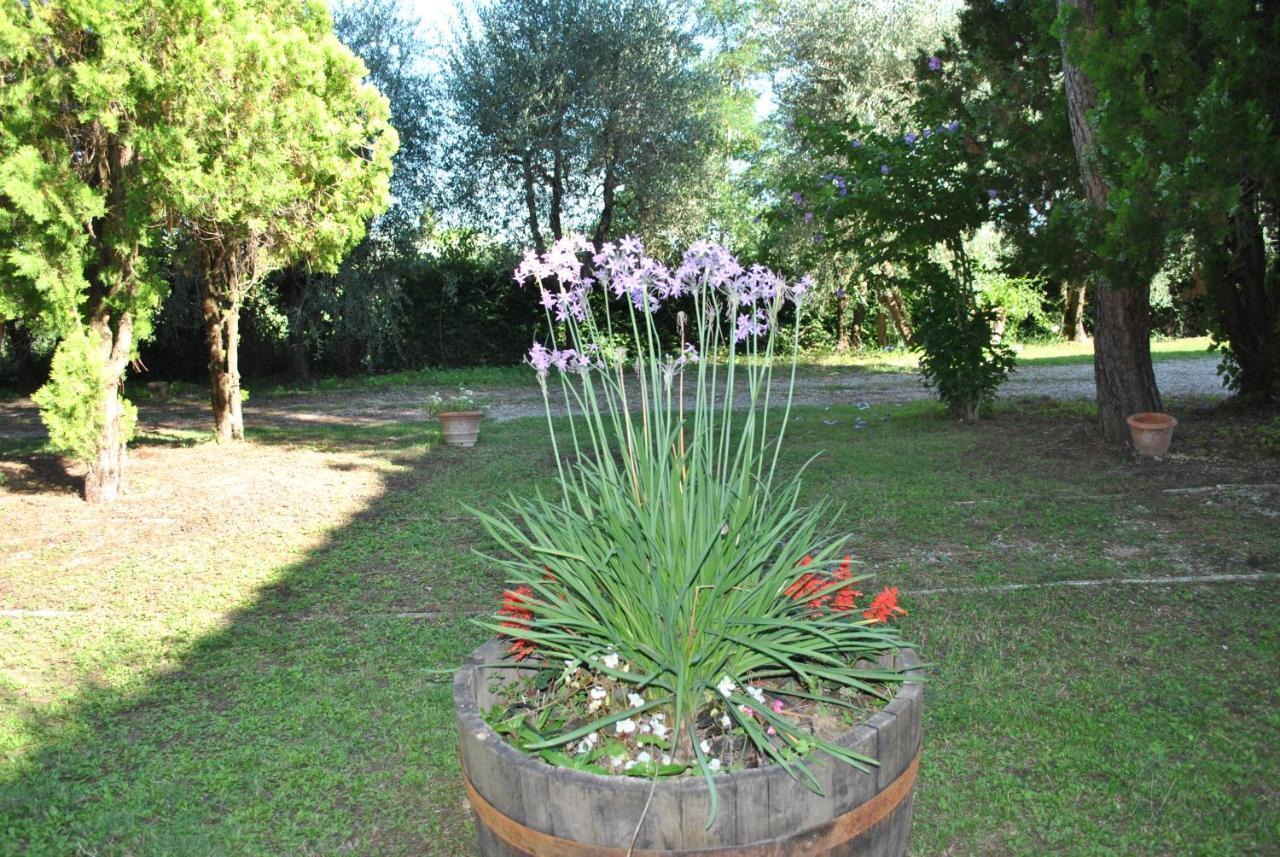 Agriturismo La Nicchia Castelnuovo Berardenga Bagian luar foto