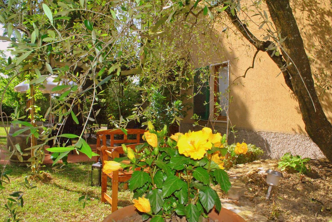 Agriturismo La Nicchia Castelnuovo Berardenga Bagian luar foto