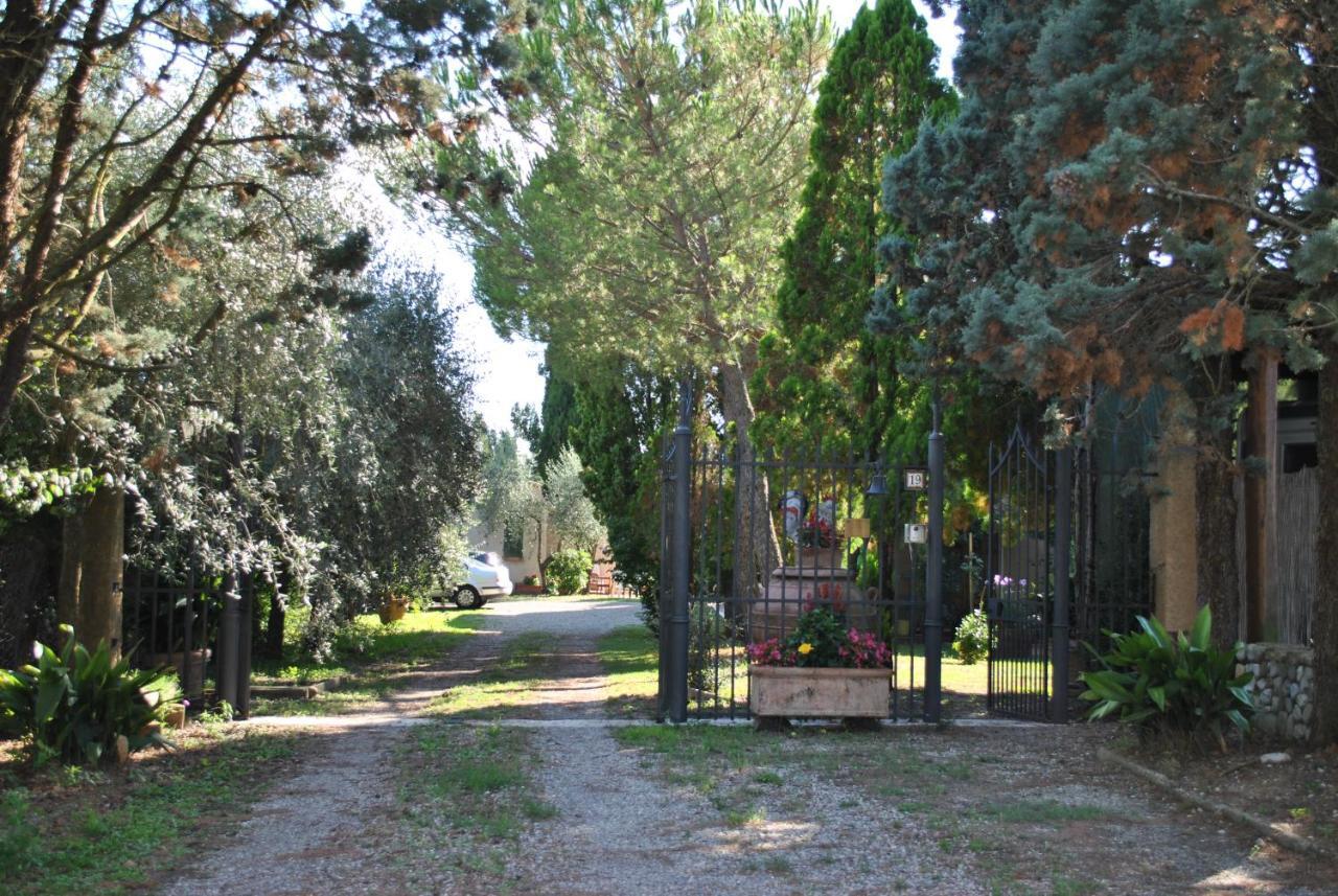Agriturismo La Nicchia Castelnuovo Berardenga Bagian luar foto