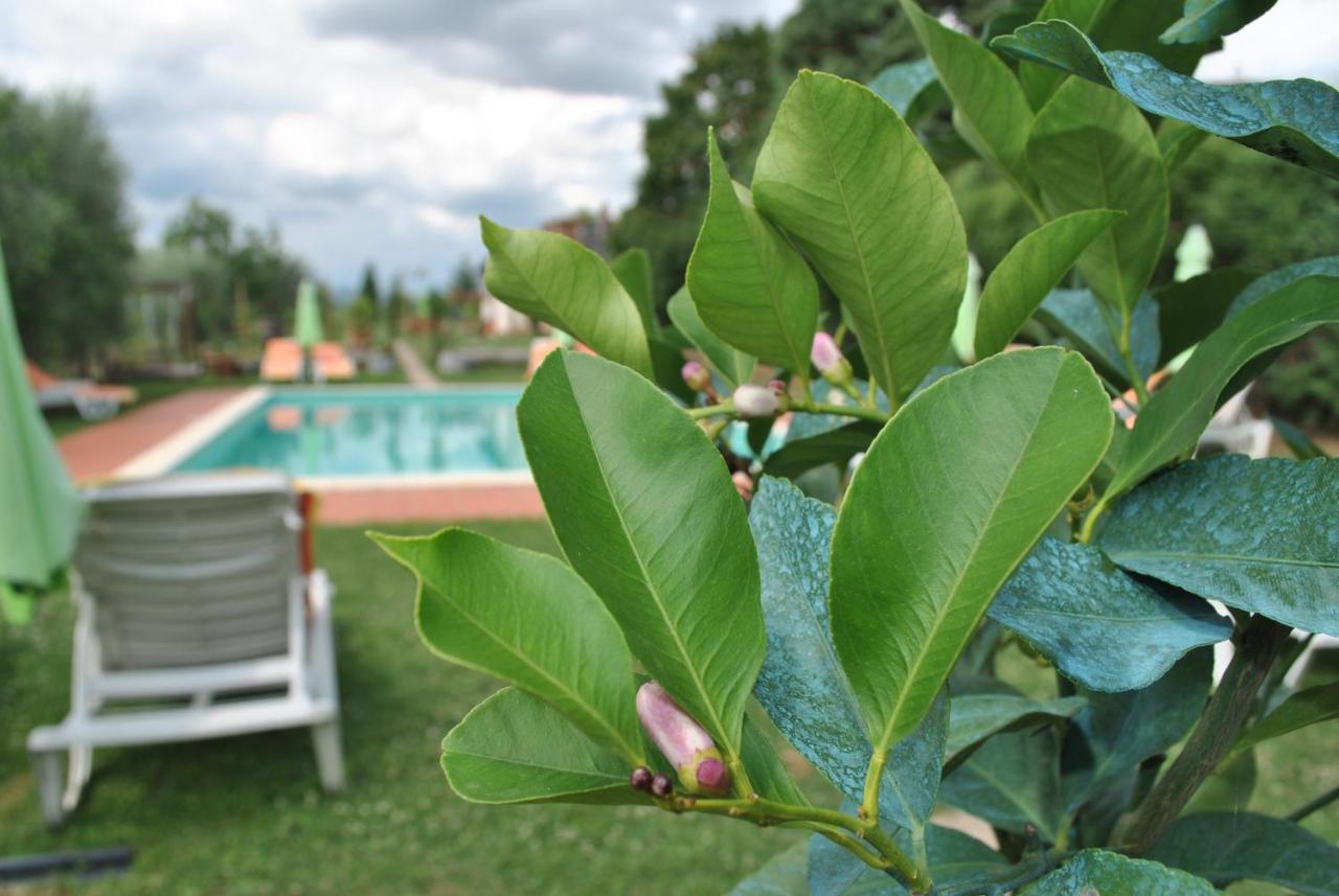 Agriturismo La Nicchia Castelnuovo Berardenga Bagian luar foto