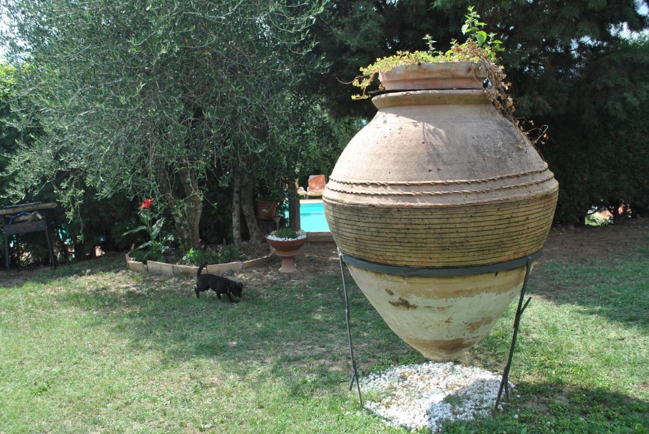 Agriturismo La Nicchia Castelnuovo Berardenga Bagian luar foto